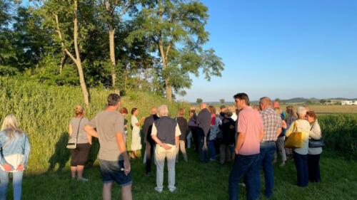 Hannes Pinterits im rosa Hemd