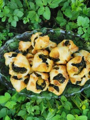 Wildkräuter-Blätterteigtascherl uvm.