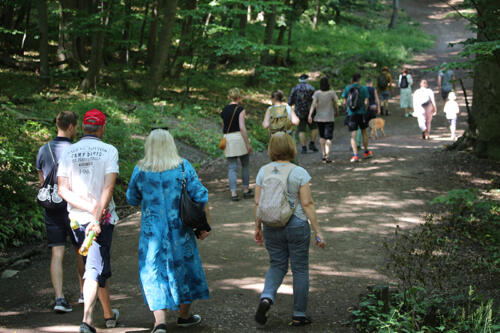 Rauf zur Kreuzeichenwiese