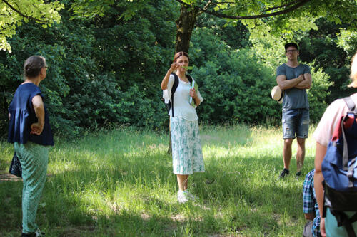 Wann, wie und wo wird gesammelt